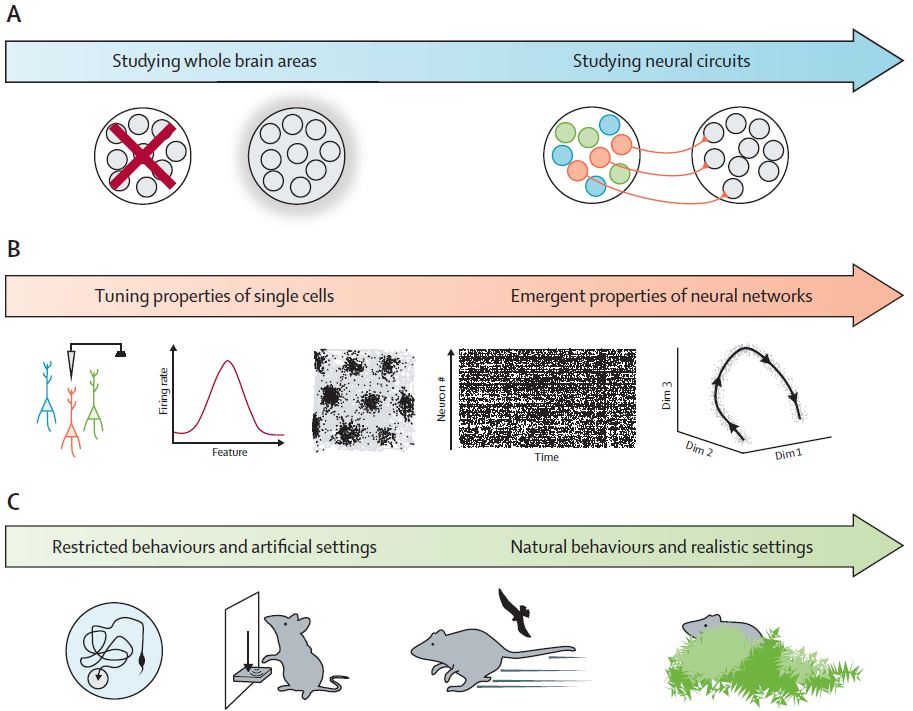 Schematic highlighting changes in neuroscience in the 21st century