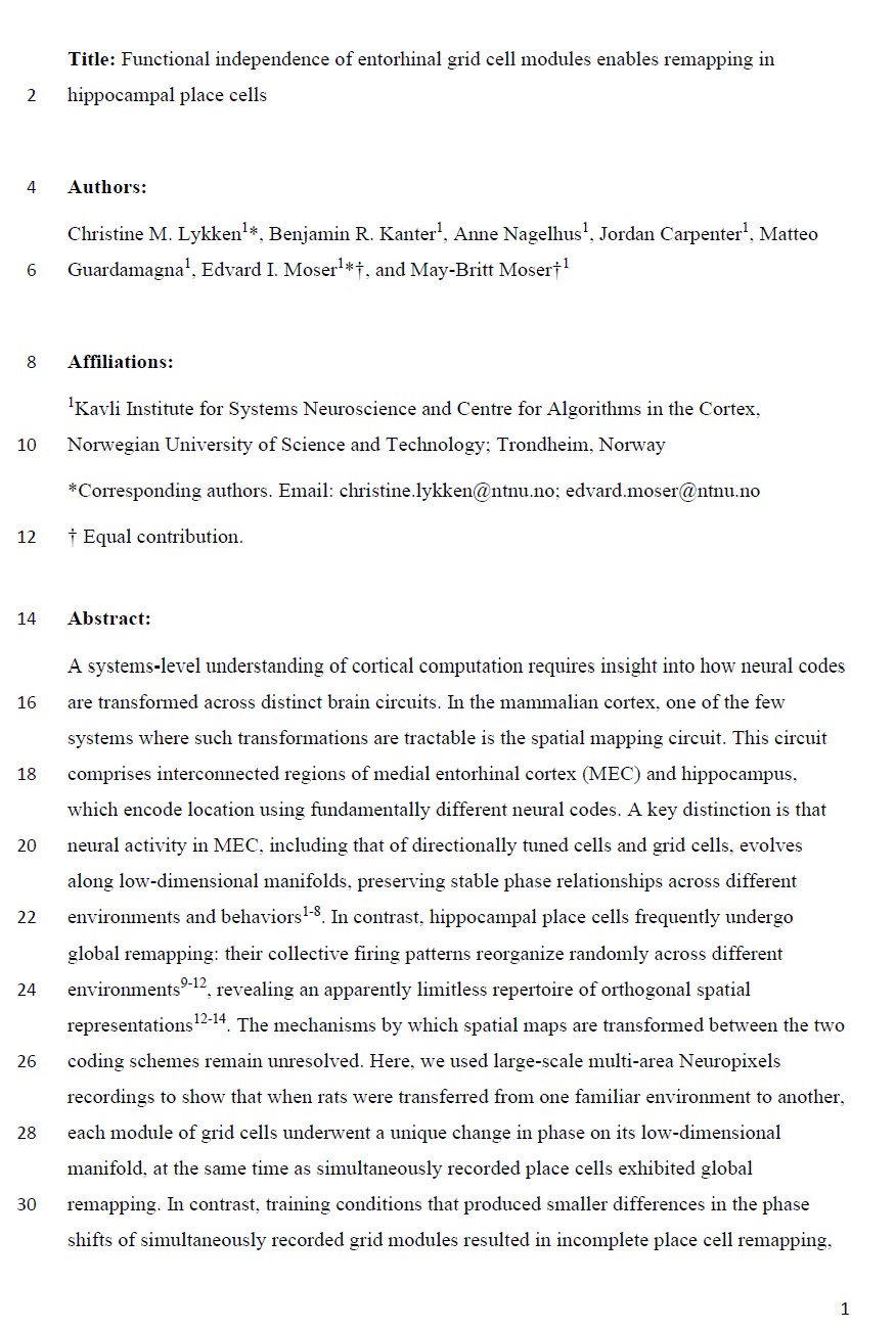 Paper 8